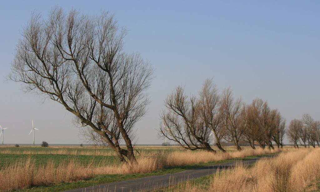 Landhaus Krabbe Von Greetsiel Eksteriør billede