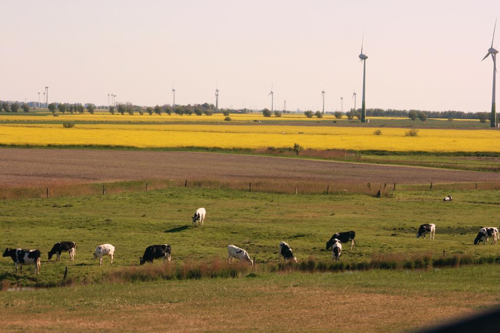 Landhaus Krabbe Von Greetsiel Eksteriør billede